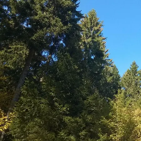 Ferienwohnung Gipfelblick *